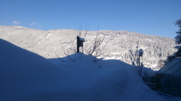 sehr kalter Winter sehr kalter Winter