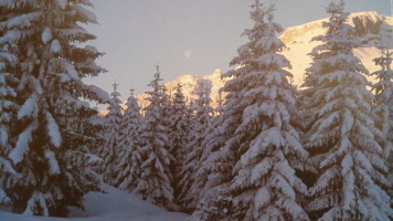 Ifen im Winter Ifen im Winter